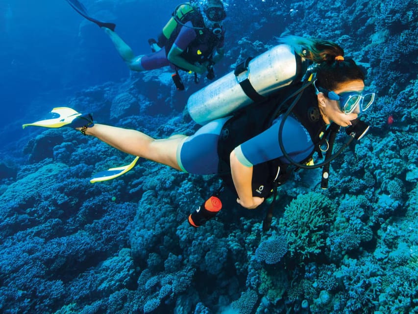 Kemer Scuba Diving with Expert Diving Option - Timing, Group Size, and the One Thing to Watch