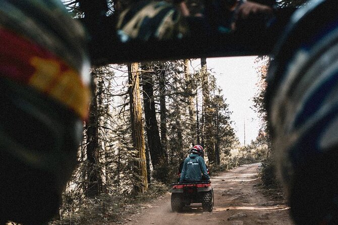 Quad Biking in Belek Forests & Taurus Mountains - Muddy Water Stream Crossings: Where the Ride Gets Real
