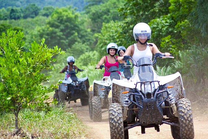 Quad Biking in Belek Forests & Taurus Mountains - Short Stops in the Forest: Breaks That Actually Matter