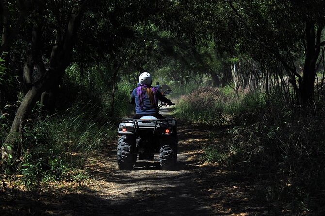 Quad Biking in Belek Forests & Taurus Mountains - Group Size Up to 20: Better Control, Less Chaos