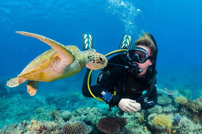 Scuba Diving Tour in Kemer with Lunch and Transfer - Key Highlights You’ll Want to Know