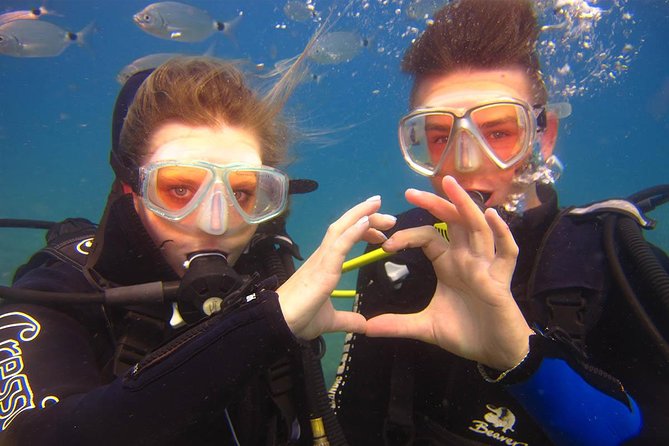 Side: Scuba Diving Under Water Museum - Why the Underwater Museum off Side Feels Different