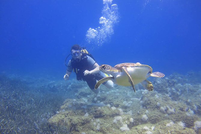 Side: Scuba Diving Under Water Museum - Price and What You Actually Get for About $50